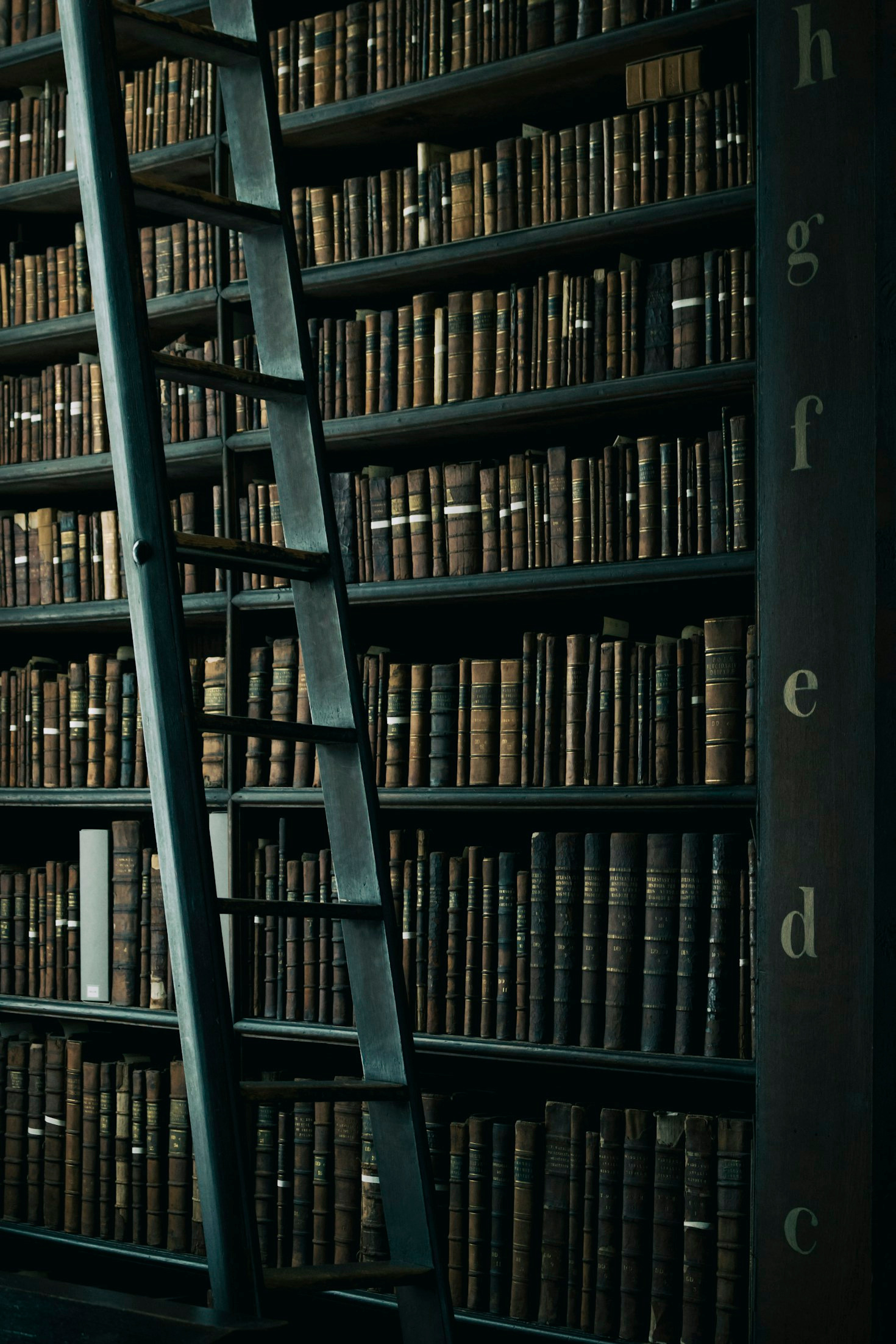 Stories That Linger: A Journey Beyond Reading