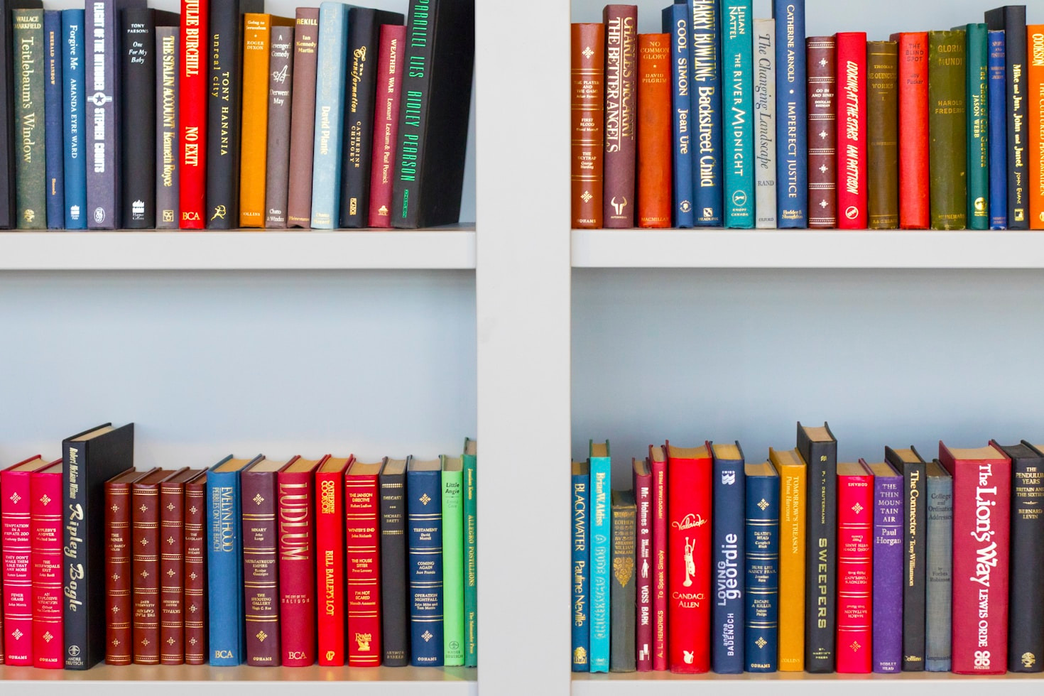 The Long-Lasting Impact of Immersive Books